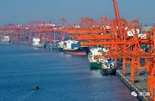 廈潮合建碼頭雛形初現(xiàn)，助力區(qū)域協(xié)同發(fā)展計(jì)劃明年上半年投用