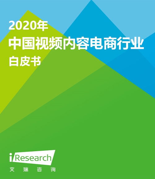 2016年中國B2B電子商務(wù)研究報告